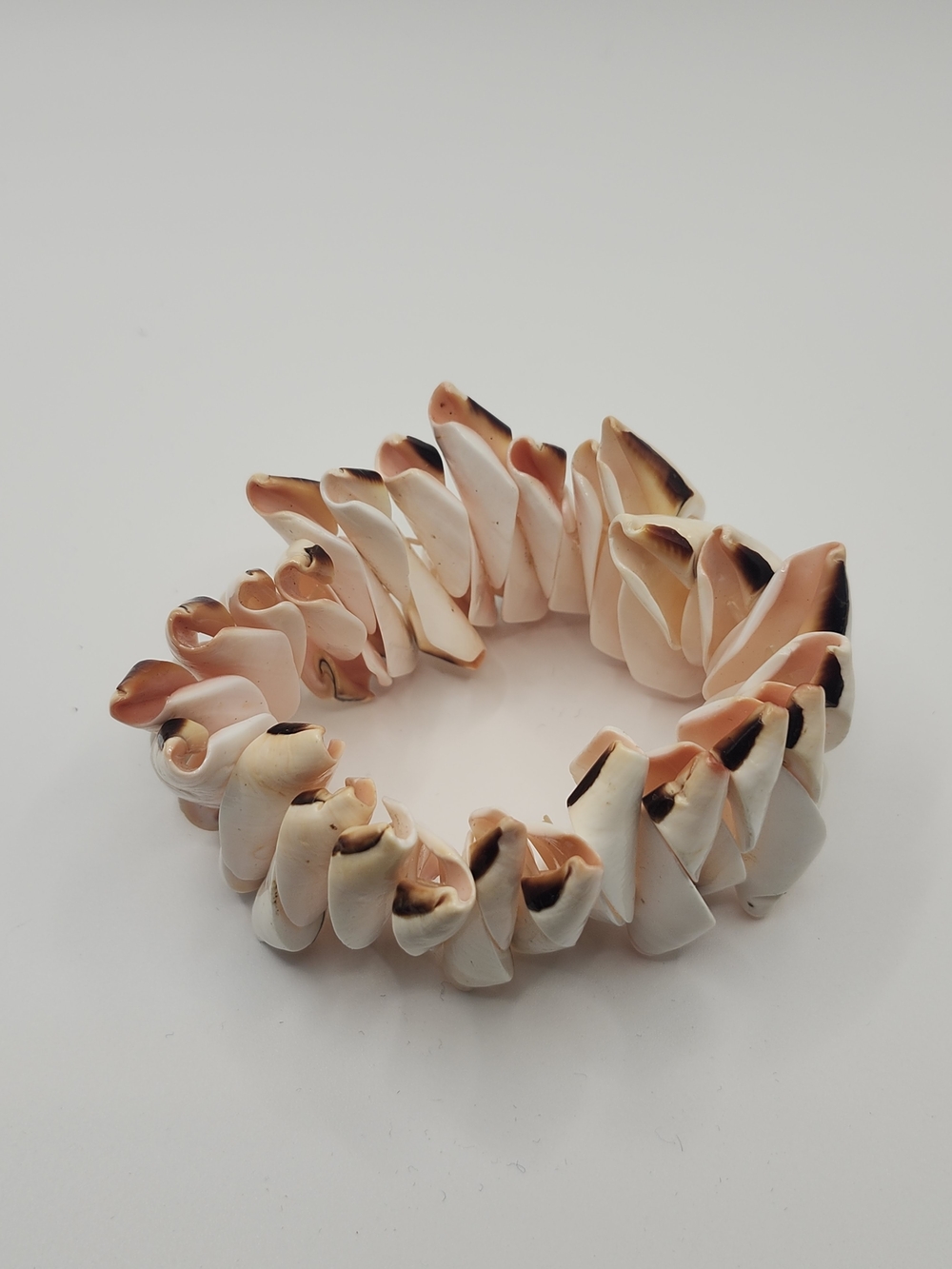 Shell Spiral Conch Stretch Bracelet in Cream and Peach